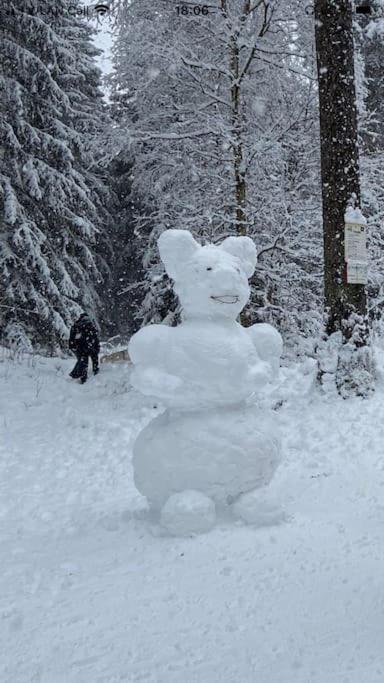 Ferienwohnung Sued - West Harz Mit Sauna E-Bikes Vorhanden! Horden am Harz ภายนอก รูปภาพ